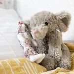 Çiftlik konaklama Blossom Hill Agroturystyka