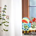 Çiftlik konaklama Blossom Hill Agroturystyka