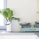 Çiftlik konaklama Blossom Hill Agroturystyka