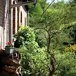 Çiftlik konaklama Blossom Hill Agroturystyka *