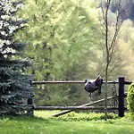 Blossom Hill Agroturystyka Lecze