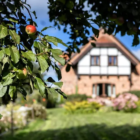Alloggio per agriturismo Blossom Hill *