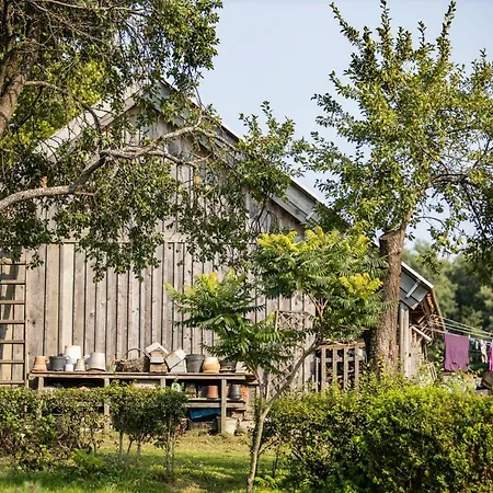 Alloggio per agriturismo Blossom Hill *