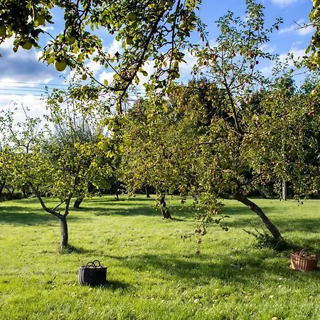 Blossom Hill *