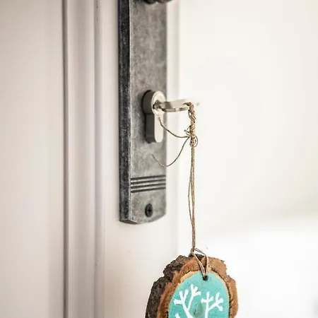 Blossom Hill Apartment