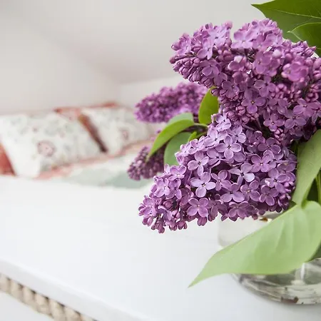 Apartment Blossom Hill