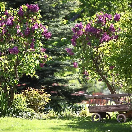 Agroturismo Blossom Hill