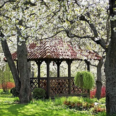 Çiftlik konaklama Blossom Hill Agroturystyka
