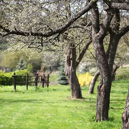 Agroturismo Blossom Hill Lecze