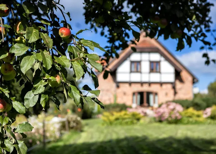 Alojamento de Turismo Rural Blossom Hill Agroturystyka *