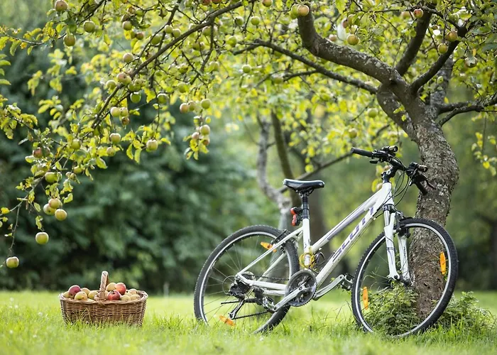 Blossom Hill Agroturystyka * Lecze