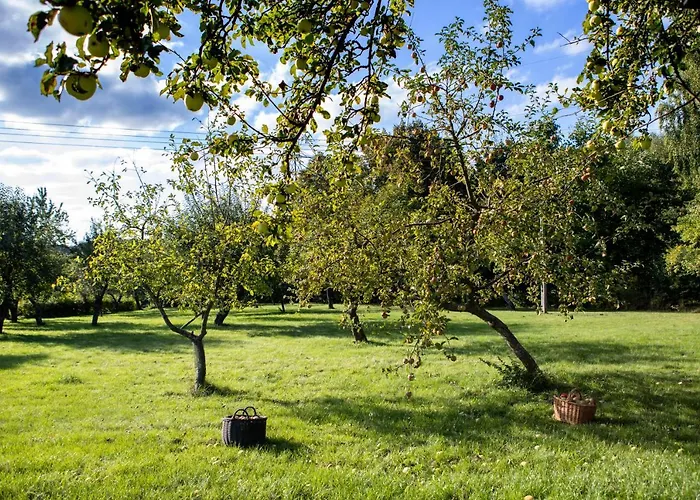 Blossom Hill Agroturystyka *