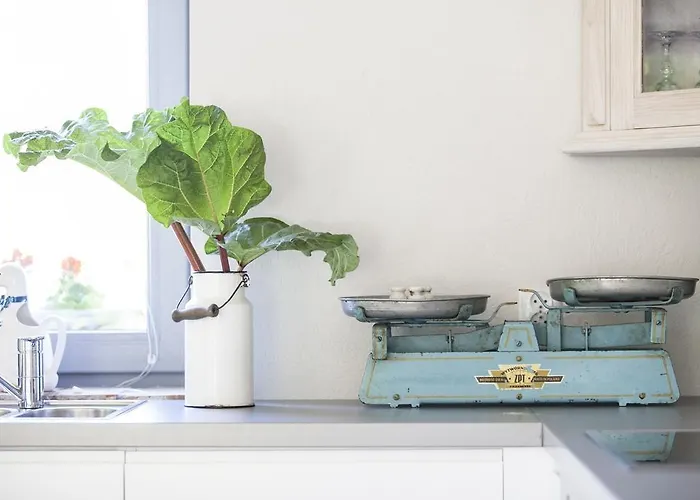 Alojamento de Turismo Rural Blossom Hill Agroturystyka