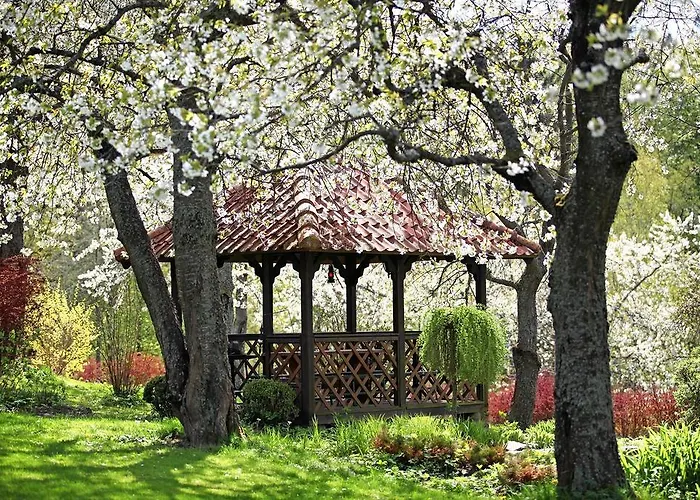 Alojamento de Turismo Rural Blossom Hill Agroturystyka