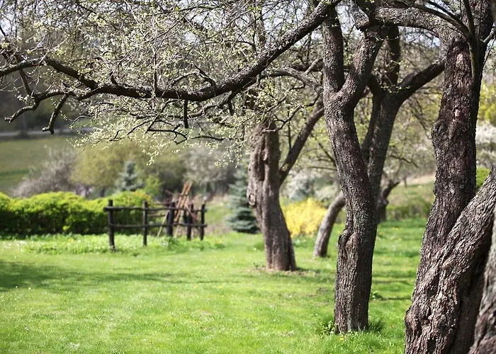 Alojamento de Turismo Rural Blossom Hill Agroturystyka Lecze