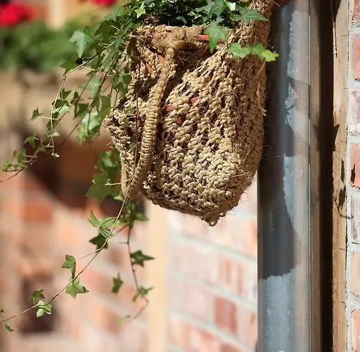 Alojamento de Turismo Rural Blossom Hill Agroturystyka *