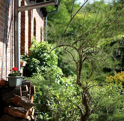 Alojamento de Turismo Rural Blossom Hill Agroturystyka *